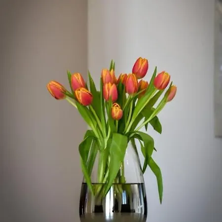 Apartmán T&t Sea View Apartment, Balcony, Barbecue, Parking